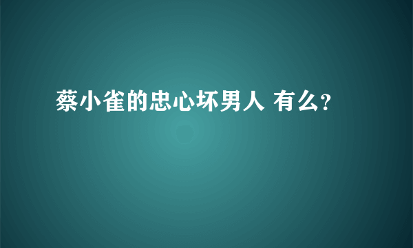 蔡小雀的忠心坏男人 有么？