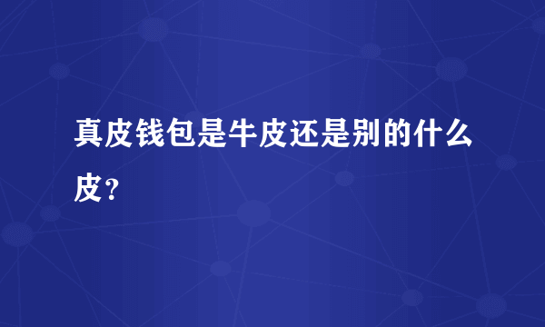 真皮钱包是牛皮还是别的什么皮？