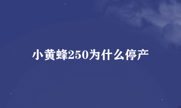 小黄蜂250为什么停产