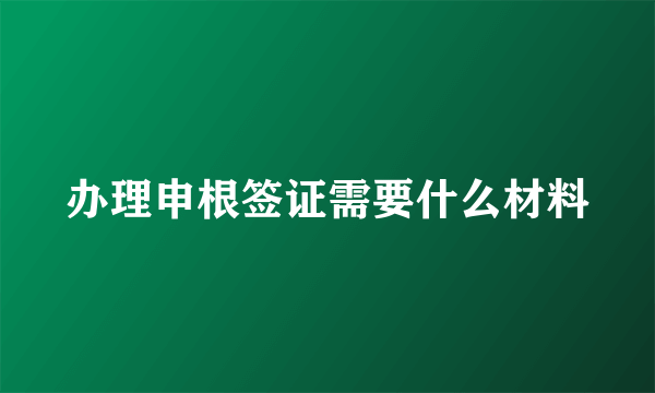 办理申根签证需要什么材料