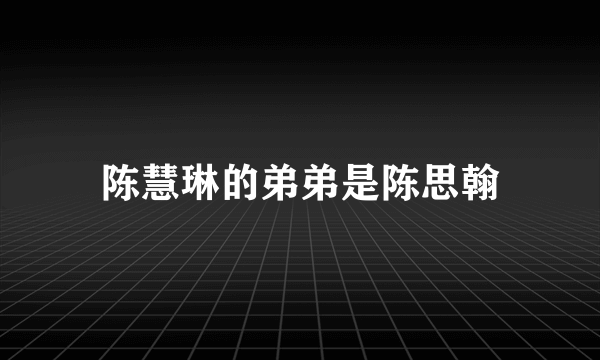 陈慧琳的弟弟是陈思翰