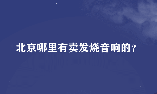 北京哪里有卖发烧音响的？