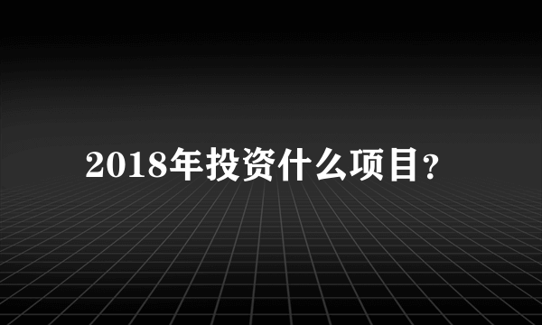 2018年投资什么项目？