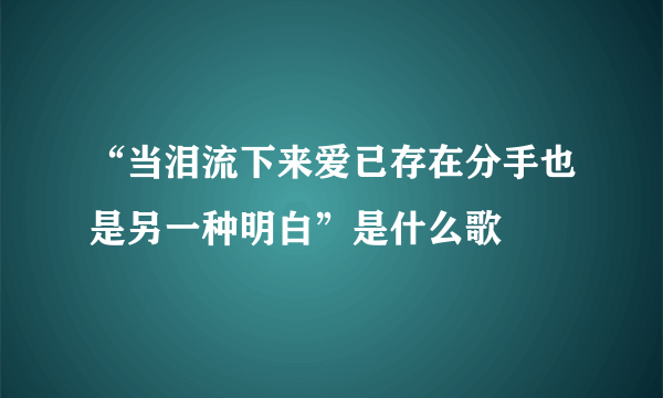 “当泪流下来爱已存在分手也是另一种明白”是什么歌