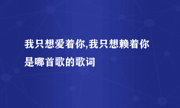 我只想爱着你,我只想赖着你 是哪首歌的歌词