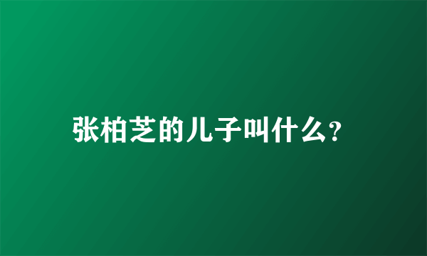 张柏芝的儿子叫什么？