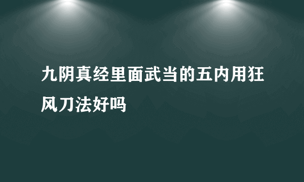 九阴真经里面武当的五内用狂风刀法好吗