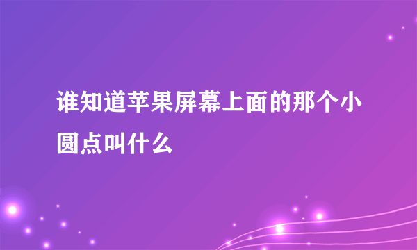 谁知道苹果屏幕上面的那个小圆点叫什么