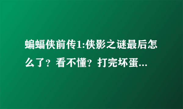 蝙蝠侠前传1:侠影之谜最后怎么了？看不懂？打完坏蛋的之后的请描述一下~谢谢~