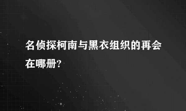 名侦探柯南与黑衣组织的再会在哪册?