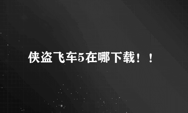 侠盗飞车5在哪下载！！