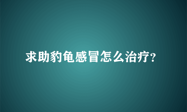 求助豹龟感冒怎么治疗？