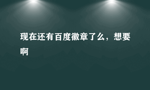 现在还有百度徽章了么，想要啊