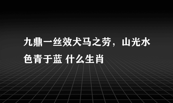 九鼎一丝效犬马之劳，山光水色青于蓝 什么生肖