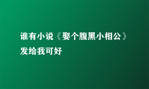 谁有小说《娶个腹黑小相公》发给我可好