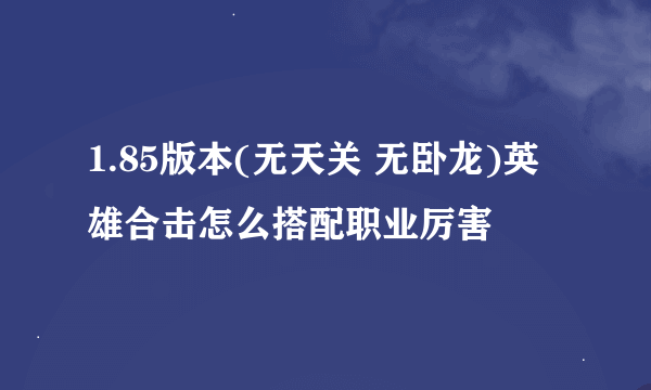 1.85版本(无天关 无卧龙)英雄合击怎么搭配职业厉害