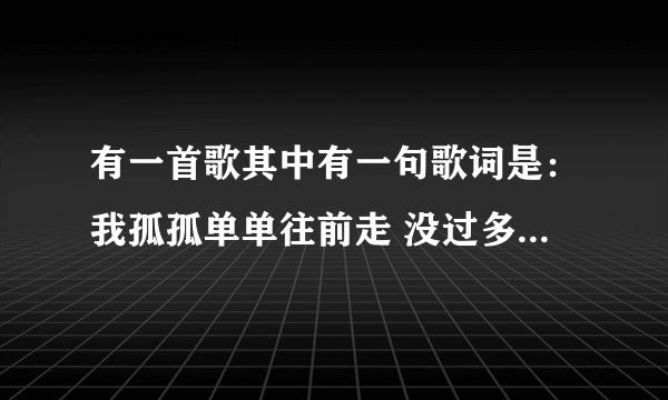 有一首歌其中有一句歌词是：我孤孤单单往前走 没过多久就低下头。 歌名是什么？