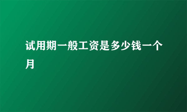 试用期一般工资是多少钱一个月