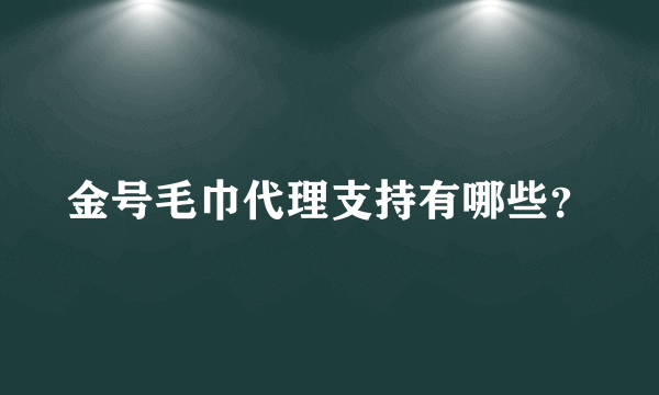 金号毛巾代理支持有哪些？