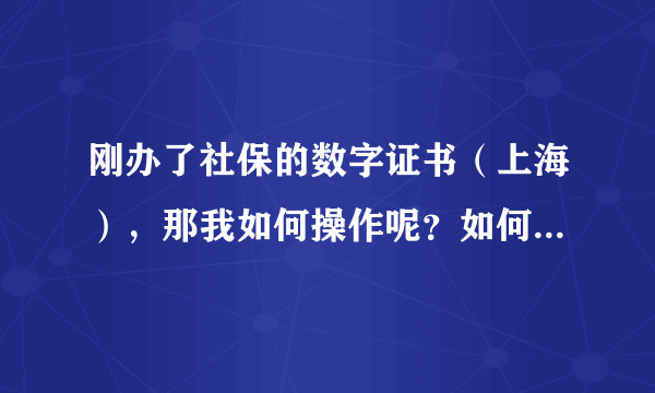 刚办了社保的数字证书（上海），那我如何操作呢？如何工作呢？