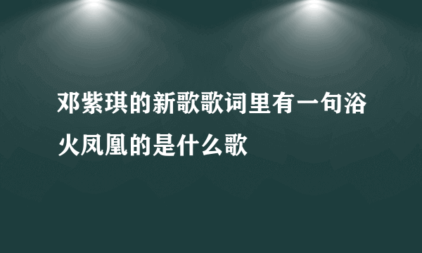 邓紫琪的新歌歌词里有一句浴火凤凰的是什么歌