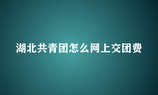 湖北共青团怎么网上交团费