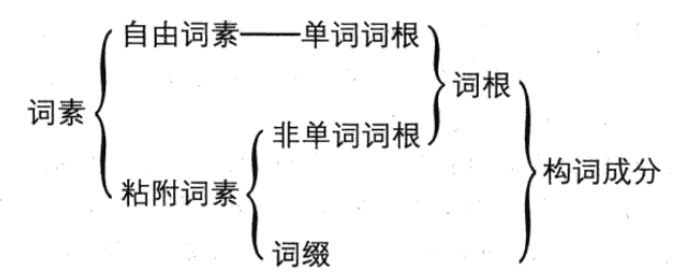 什么叫词根，词缀