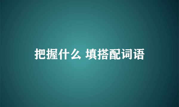 把握什么 填搭配词语