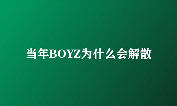 当年BOYZ为什么会解散