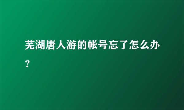 芜湖唐人游的帐号忘了怎么办？