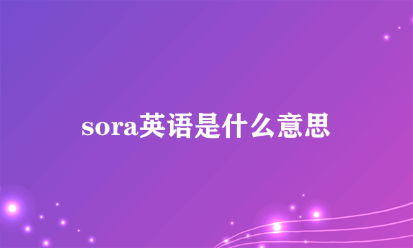 sora英语是什么意思