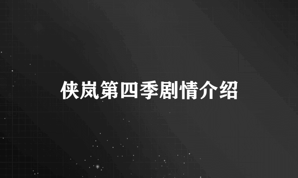 侠岚第四季剧情介绍