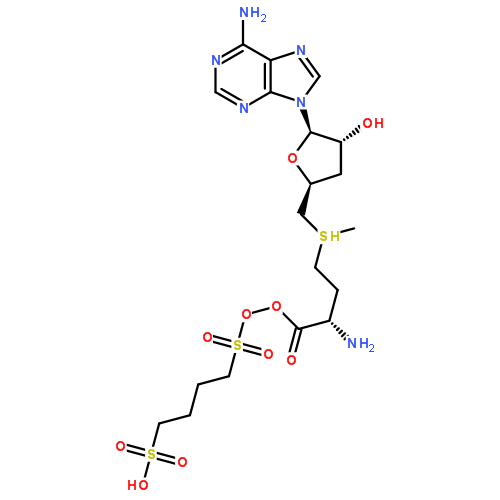 S-腺苷蛋氨酸的介绍