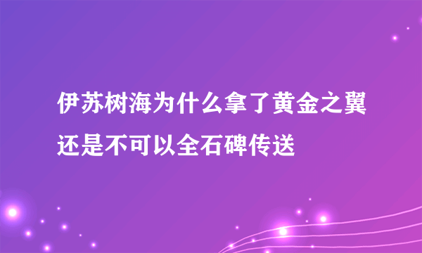 伊苏树海为什么拿了黄金之翼还是不可以全石碑传送