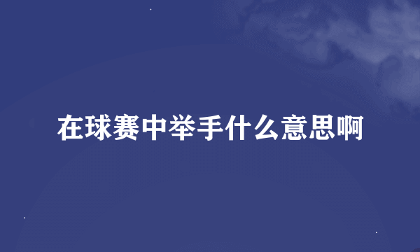 在球赛中举手什么意思啊