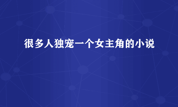 很多人独宠一个女主角的小说