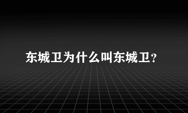 东城卫为什么叫东城卫？