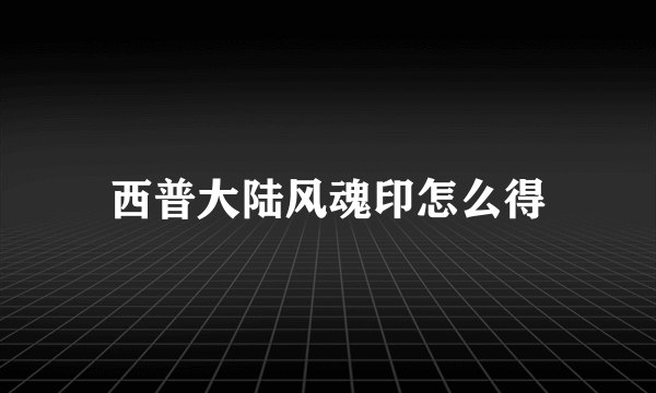 西普大陆风魂印怎么得