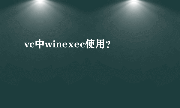 vc中winexec使用？