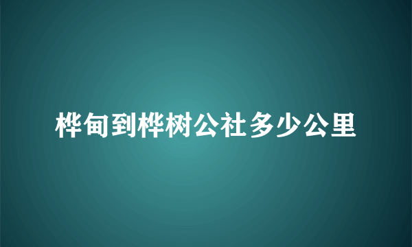 桦甸到桦树公社多少公里