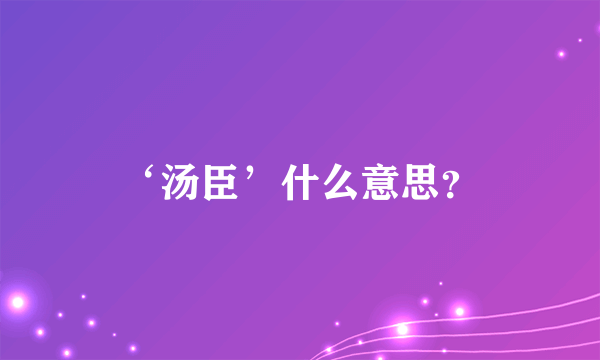 ‘汤臣’什么意思？