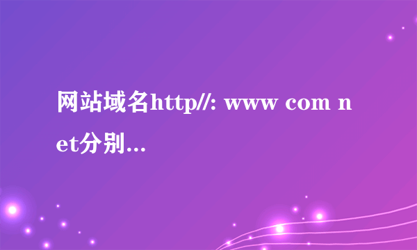 网站域名http//: www com net分别表示什么?