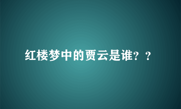 红楼梦中的贾云是谁？？