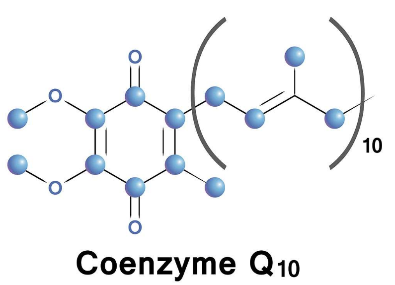 辅酶q10的作用