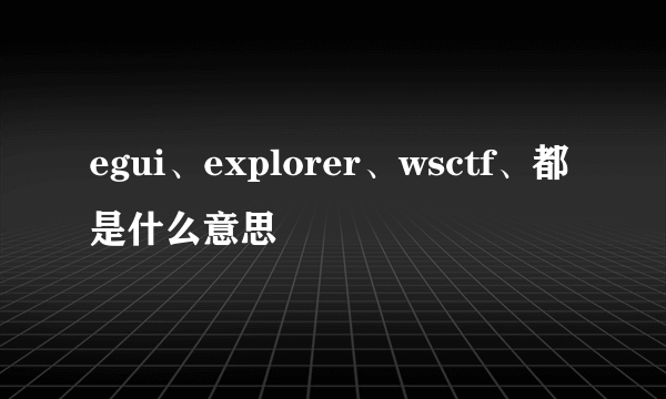 egui、explorer、wsctf、都是什么意思