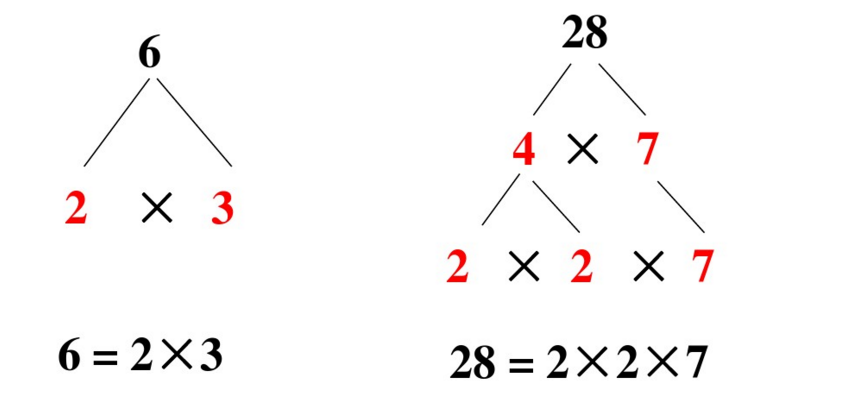 怎么分解质因数？