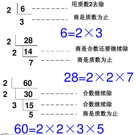 怎么分解质因数？