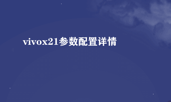 vivox21参数配置详情