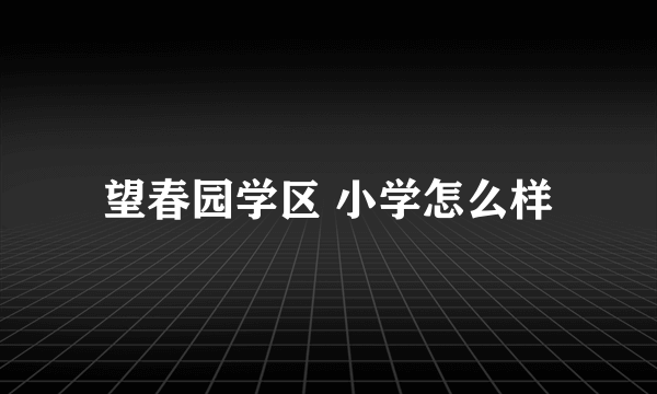 望春园学区 小学怎么样