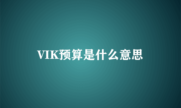 VIK预算是什么意思